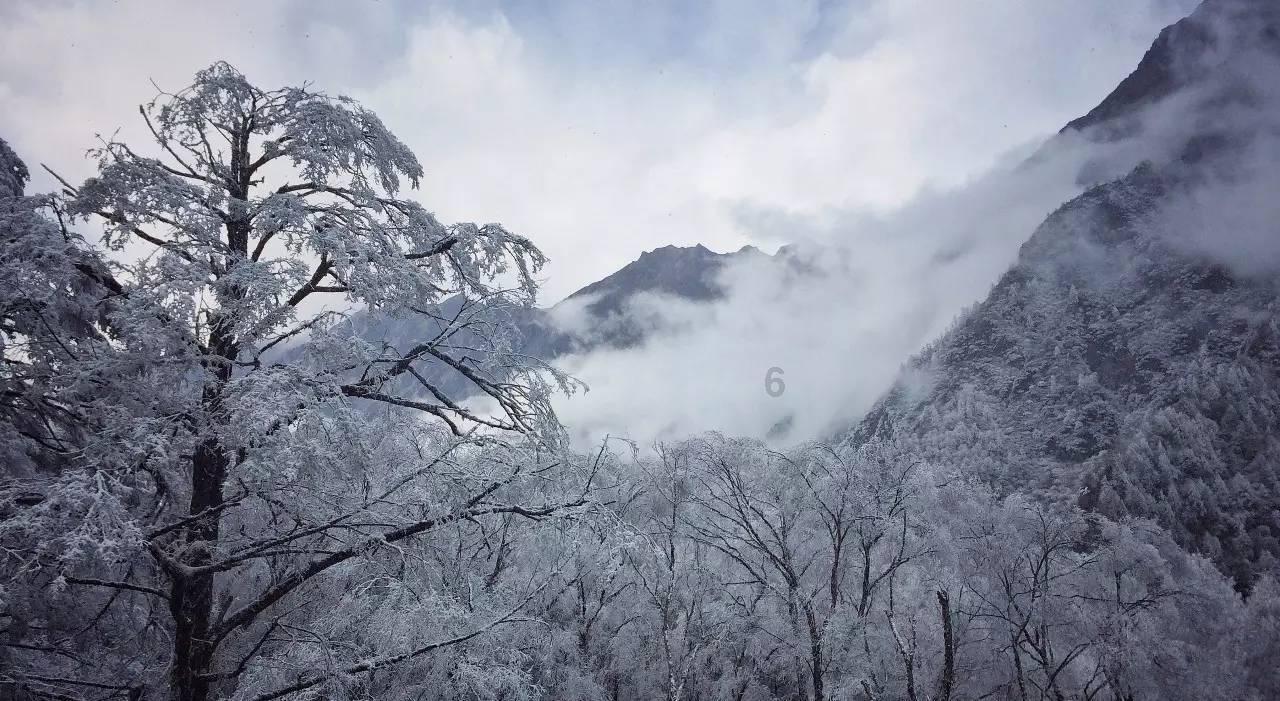平板哑铃卧推训练,肘关节垂直腕关节中立,锻炼胸大肌宽度和厚度-有问必答平台,寻找专家答疑解惑
